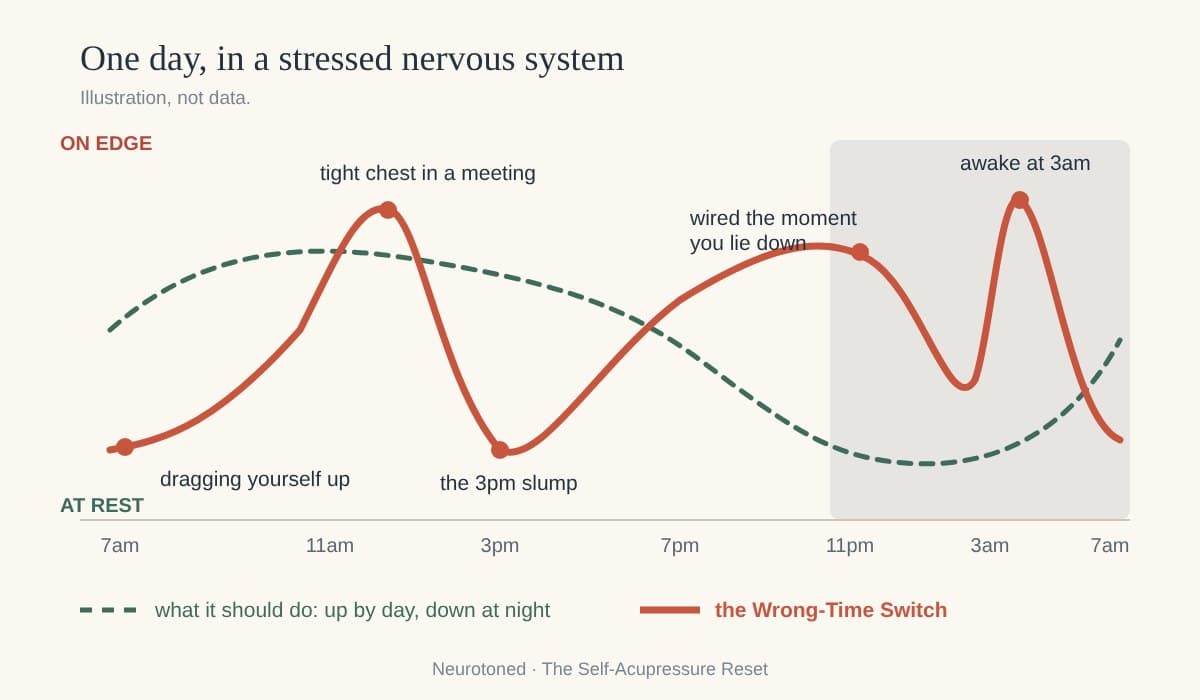 A drawing of one day in a stressed nervous system: a dashed green line that rises by day and falls at night, and a red line that does the opposite, low on waking, spiking in a meeting, dropping at 3pm, climbing at bedtime and spiking at 3am.