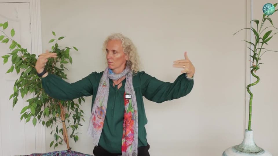 A frame from Week 1: Jolena Nicol, in a green blouse and a floral scarf, standing with her arms open wide, guiding a gentle movement.